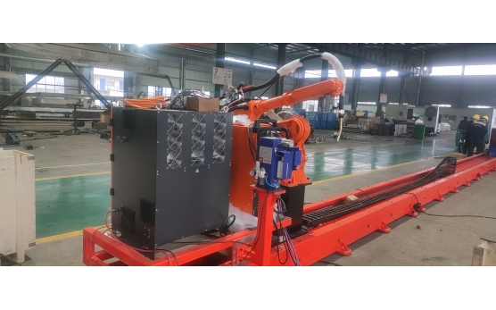 Brazil Customer Procurement Robot And 15M Guide Rail Case Show